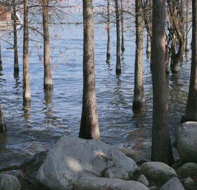 INS高级感背景图