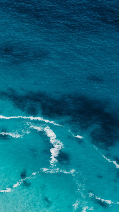 永远沉溺在深海之中吧
