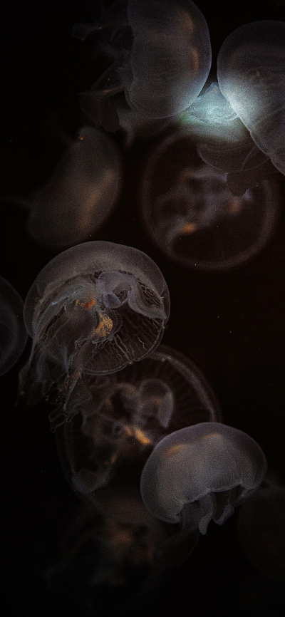 山尖高万仞，海底莫测深。