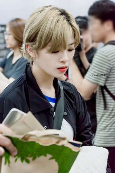 TWICE 俞定延 叮叮