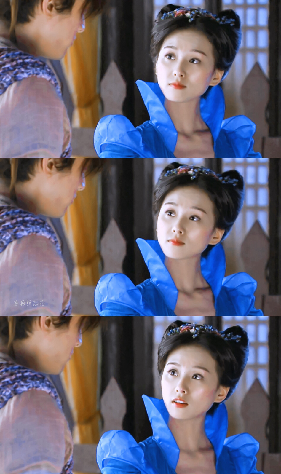 刘诗诗 | 龙葵 cr:苍狗照落花