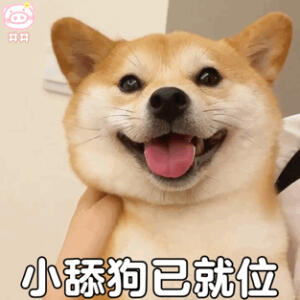 柴柴表情包动图
可爱的表情包