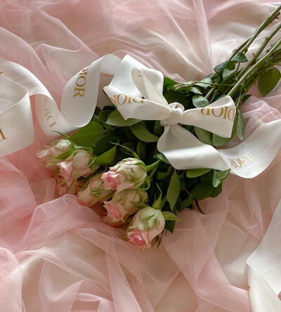 粉红色背景图 Dior 蝴蝶结 粉色氛围感 玫瑰花
