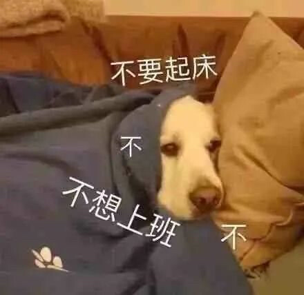 表情包