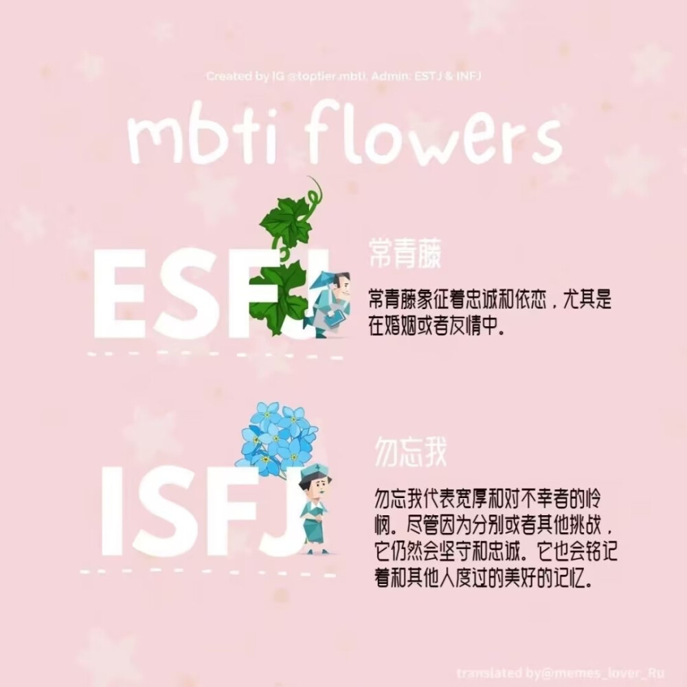 MBTI
十六人格类型的代表花及花语