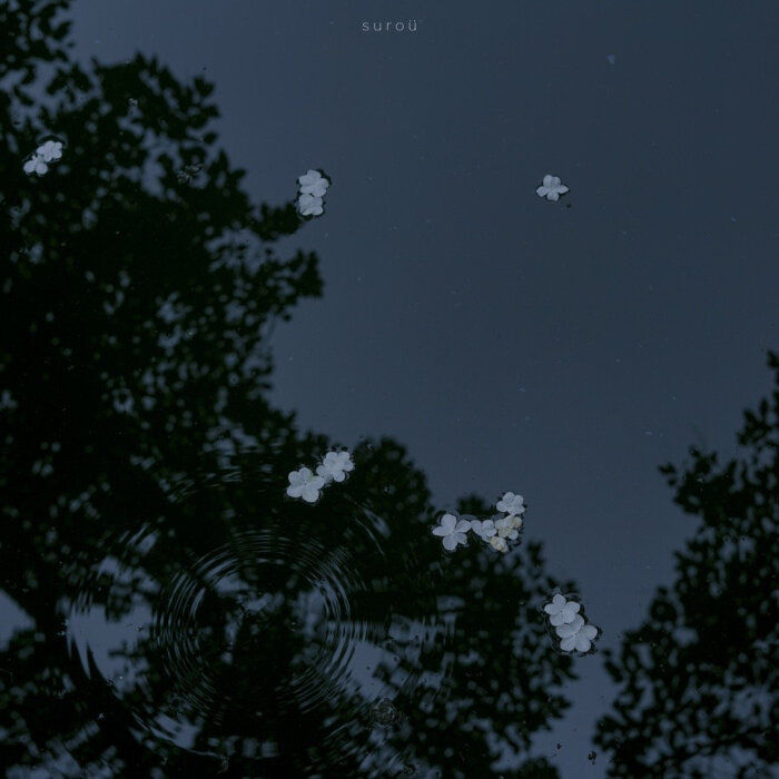 花
背景图©网络