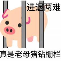 阴阳怪气歇后语表情包