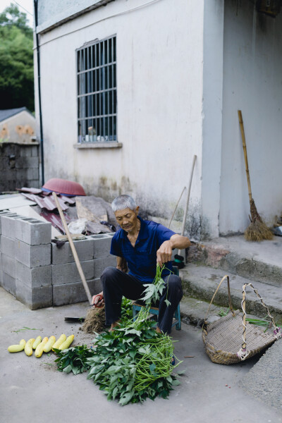 带了很多杨梅回杭
摄影：洪小漩
出镜：家人
上一次回家呆了两天半，最后一日，大家都起得很早。
阿科骑着电瓶车去收地龙，爷爷去地里摘些新鲜蔬果让我们带上，婆婆忙着洗洗涮涮。反而是我和菲比，睡到自然醒。
…