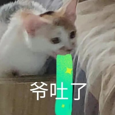 沙雕表情包