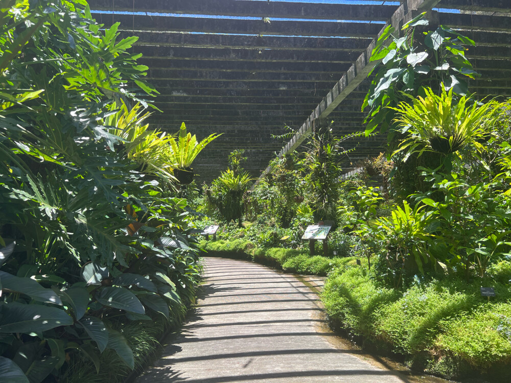 仙湖植物园