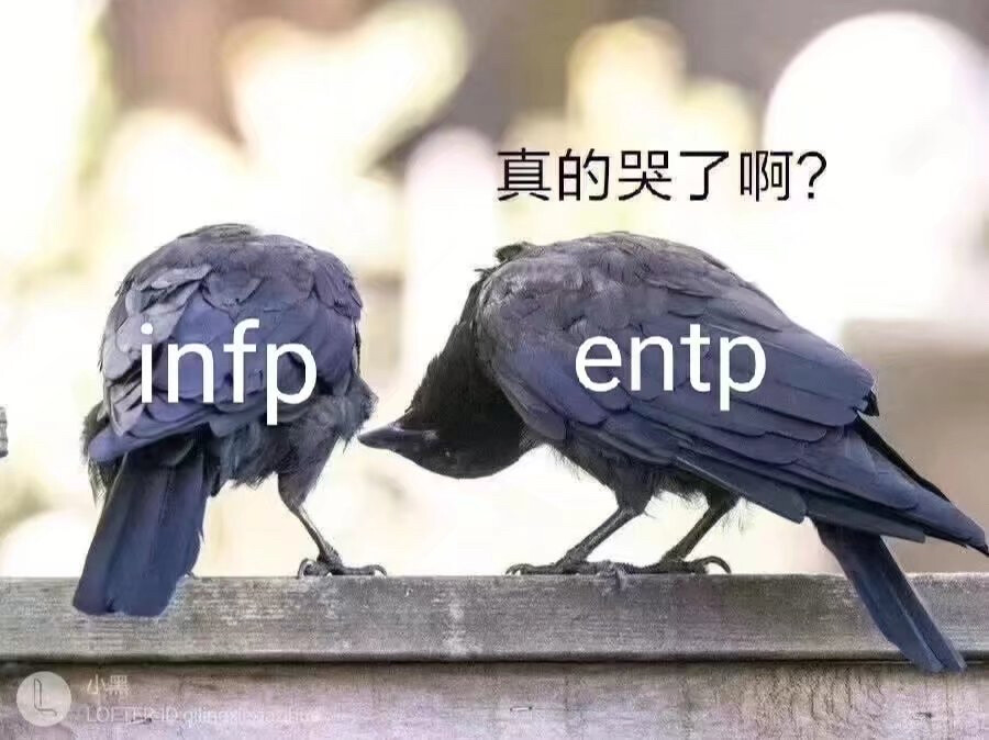 INFP ENTP