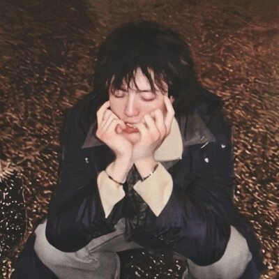 王力宏李云迪
宏迪