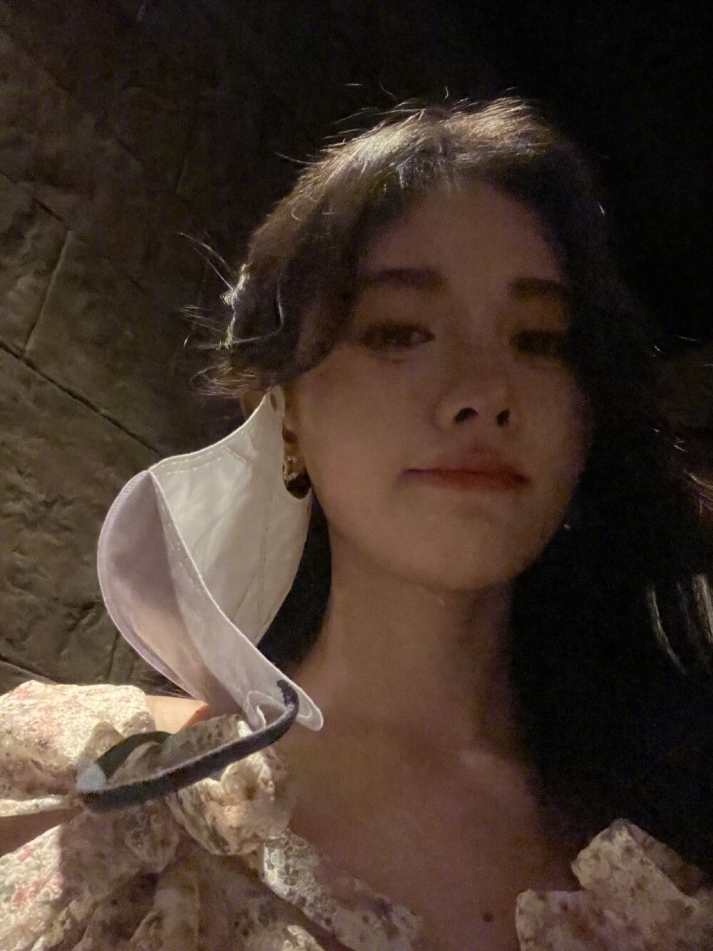 鞠婧祎环球影城游玩照