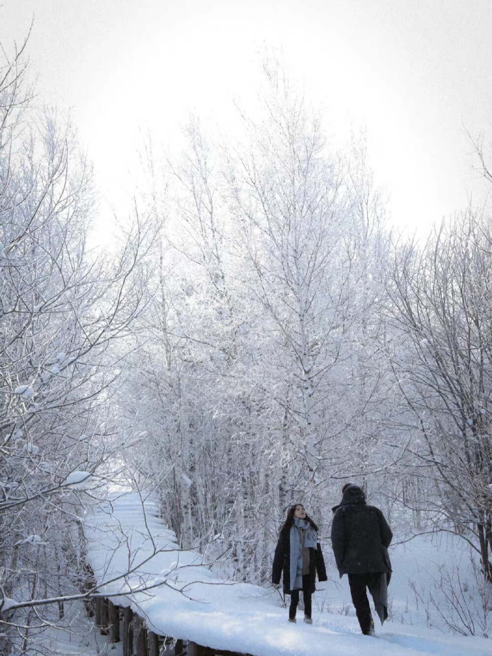罗百万&陈季希 侵删