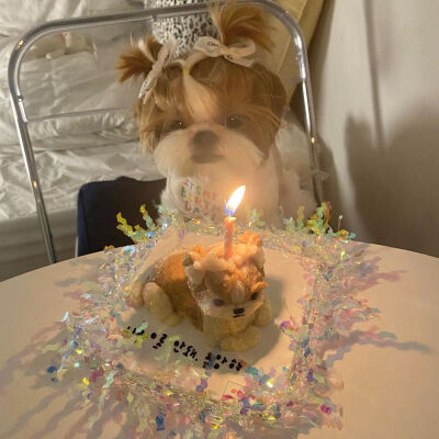 祝小狗生日快乐！