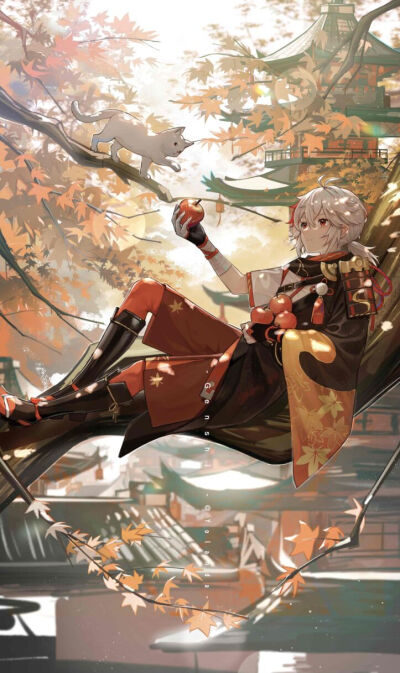 枫叶红时，总多离别