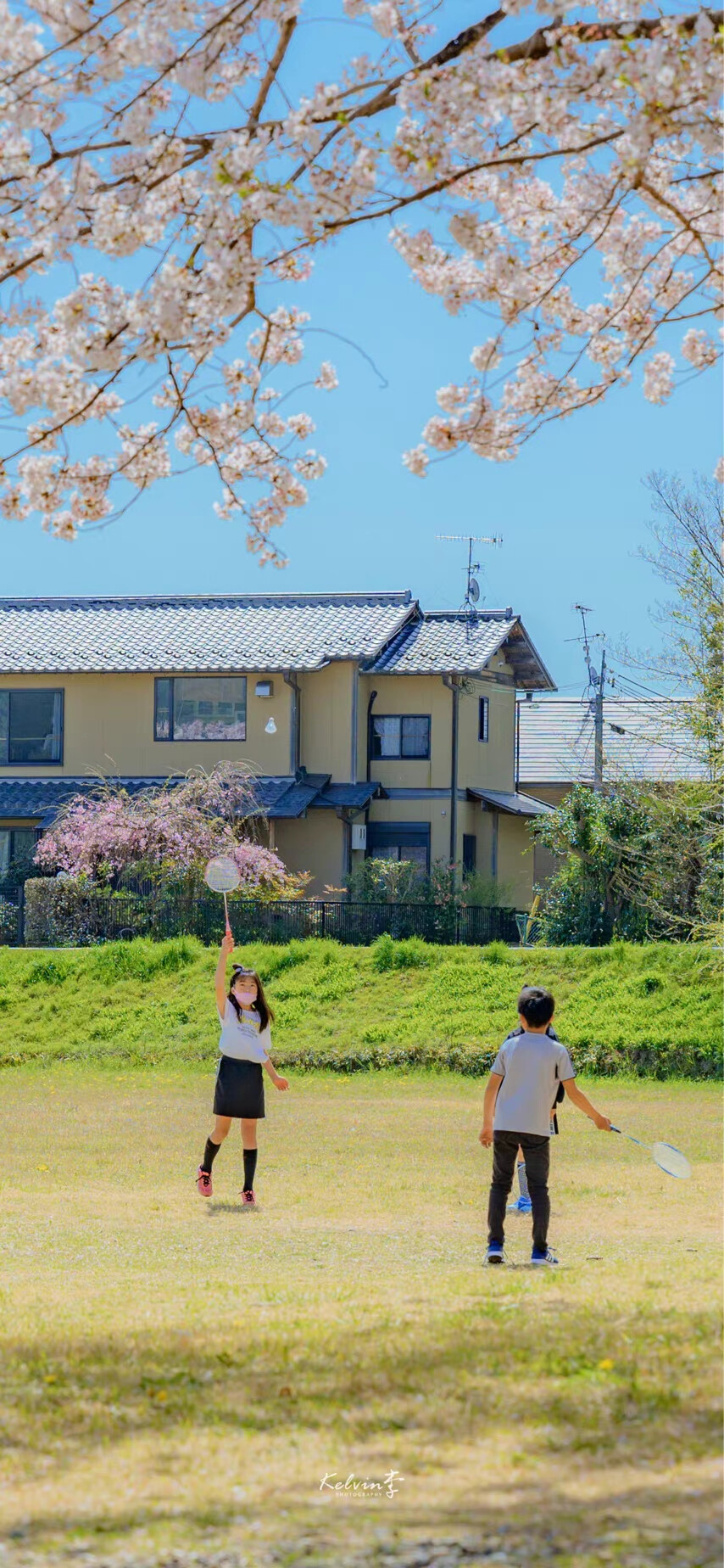 绿色壁纸 夏日壁纸 绿色