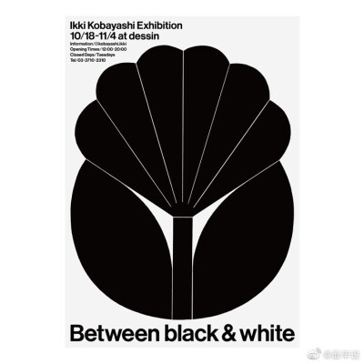 Between Black and White by Kobayashi Ikki
在这系列作品中，他以一些大胆而富于气势的形式，另一些则更为细腻且充满动感。他在存在和缺乏之间找到平衡，负空间与所画事物一样重要。
“当我绘制形状时，我不仅在…