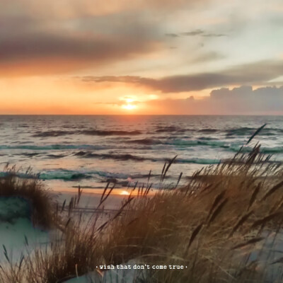 Lights, camera, action！ʕ•̀ω•́ʔ✧