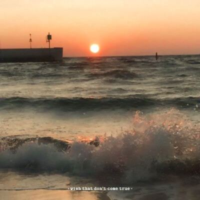 Lights, camera, action！ʕ•̀ω•́ʔ✧