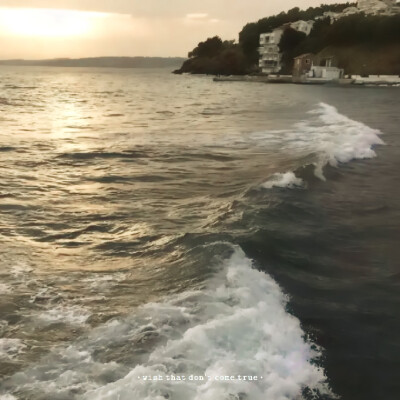 Lights, camera, action！ʕ•̀ω•́ʔ✧