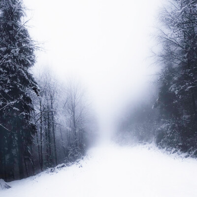  圣尼古拉斯的雪天