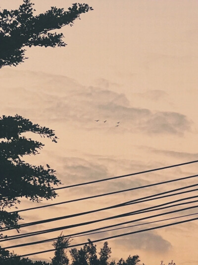 天空 水 光影
还有夏天来了
壁纸高清