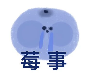 水果表情包