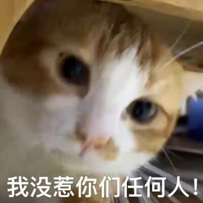 表情包