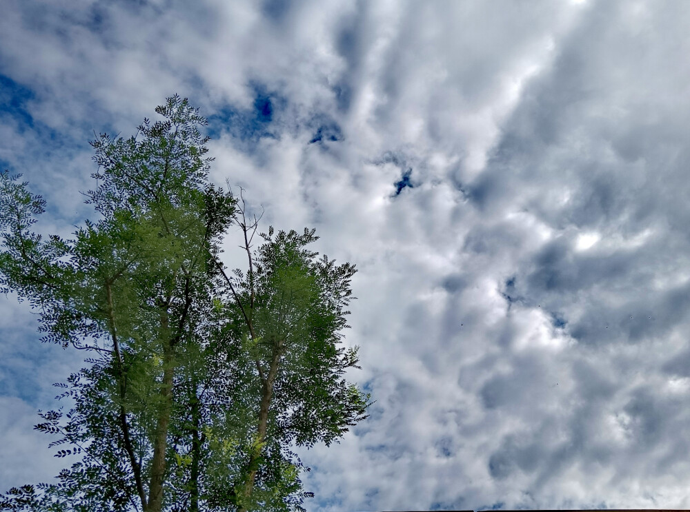 风景
拍摄于青岛胶南