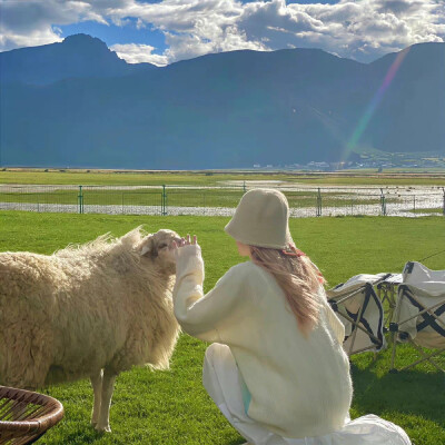 “富士山终究留不住欲落的樱花.”