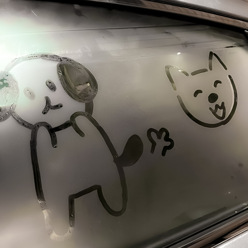 
如果大雨冲刷着我们的坟墓,
会不会有玫瑰悄然绽放。