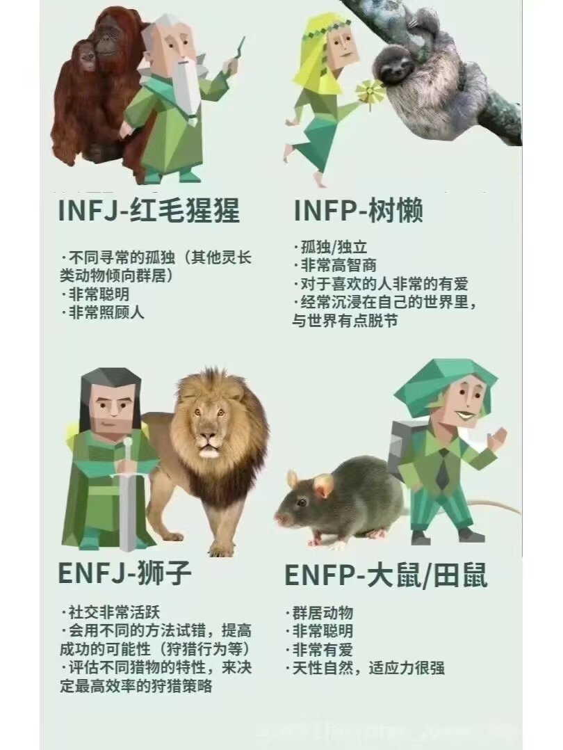 MBTI
十六型人格动物