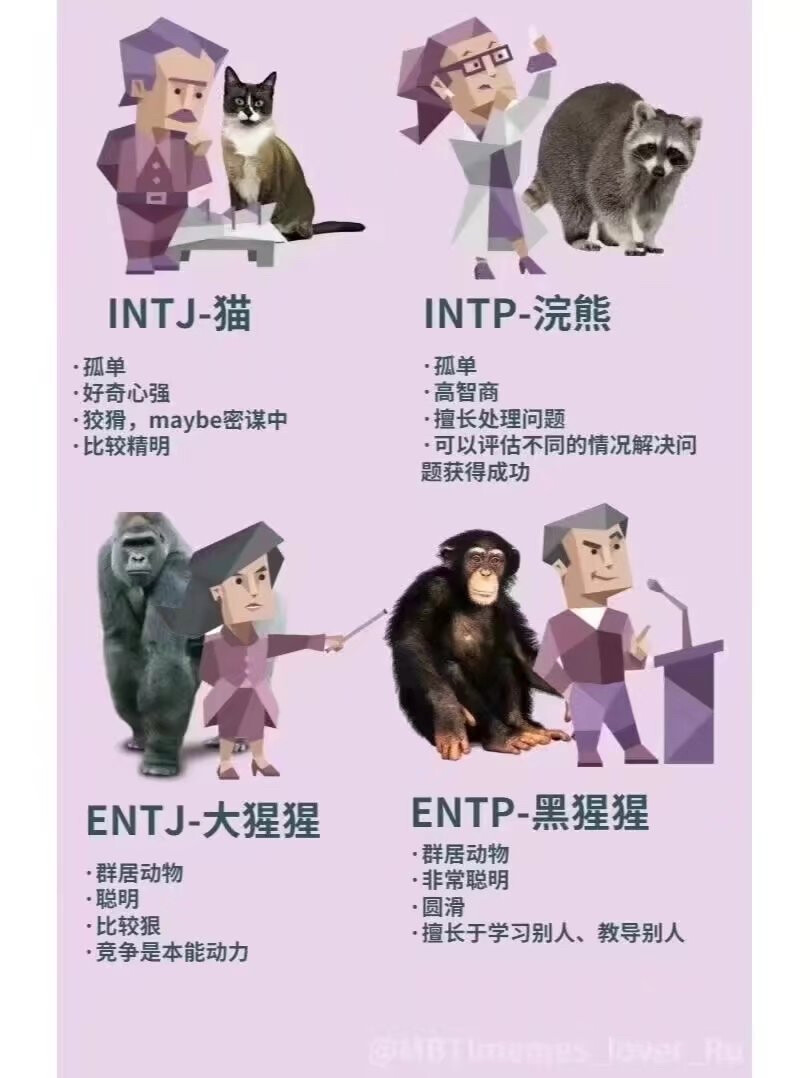 MBTI
十六型人格动物