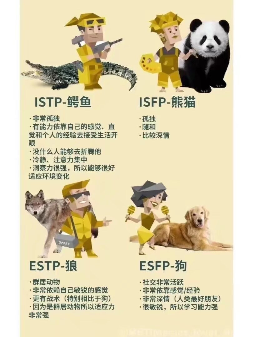 MBTI
十六型人格动物