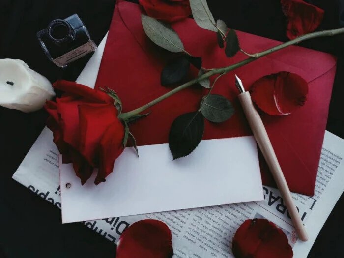 玫瑰,复古伪手写背景图【侵权删】