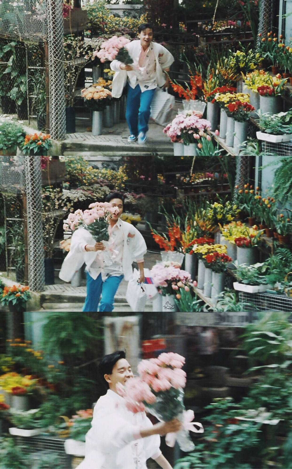 张国荣yyds