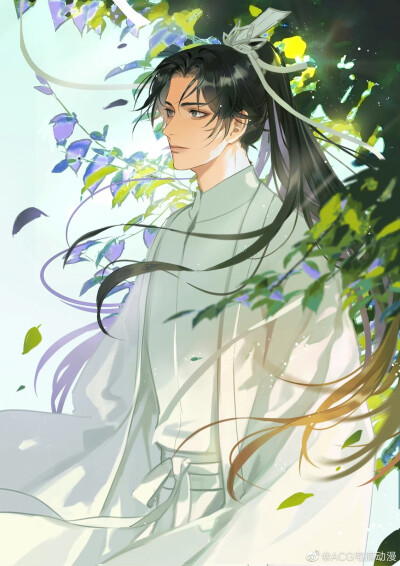 二哈和他的白猫师尊