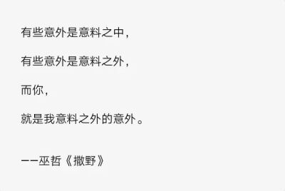 撒野，撒野文字。
你是我意料之外的意外。
巫哲《撒野》