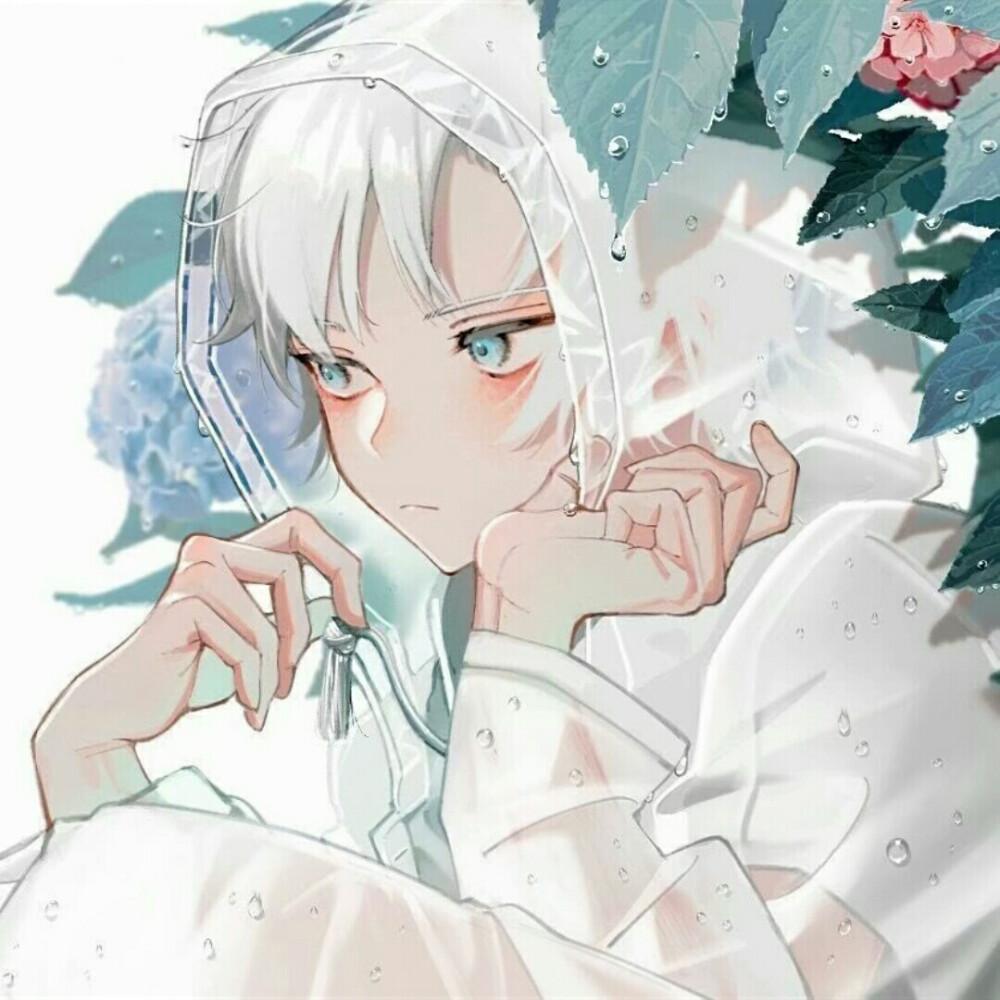 图片源自于网络侵权删