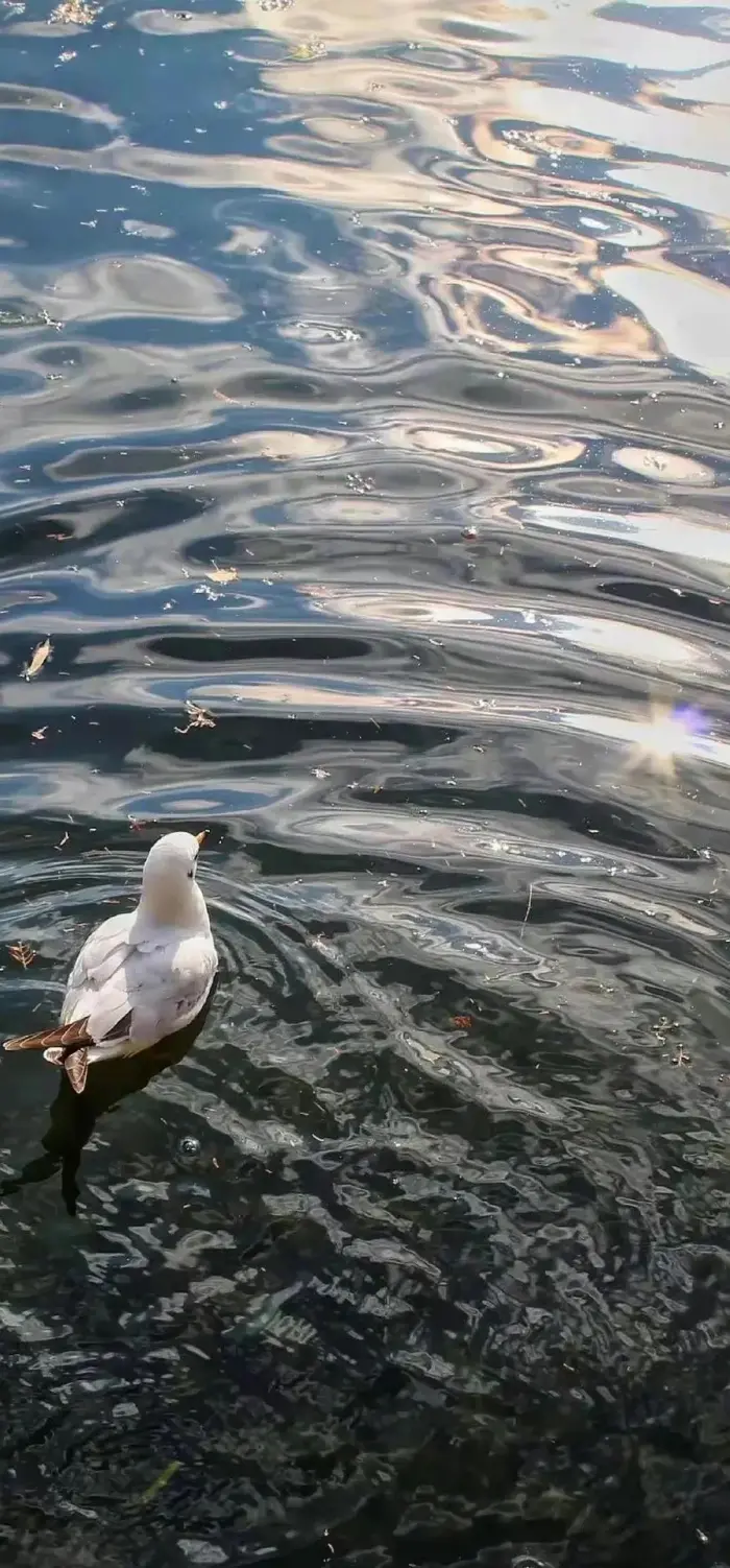 海浪壁纸