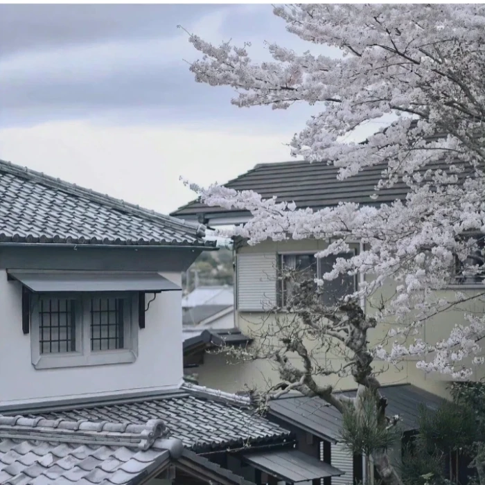 檐上雨 : / 送君茉莉，请君莫离