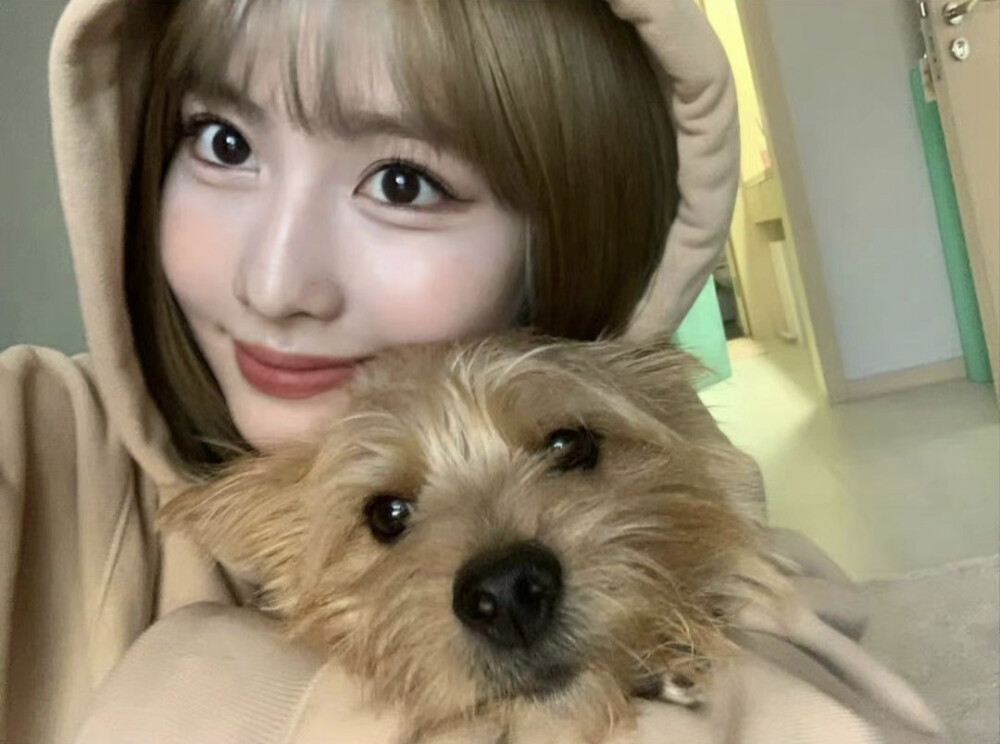 twice momo 平井桃 - 堆糖,美图壁纸兴趣社区