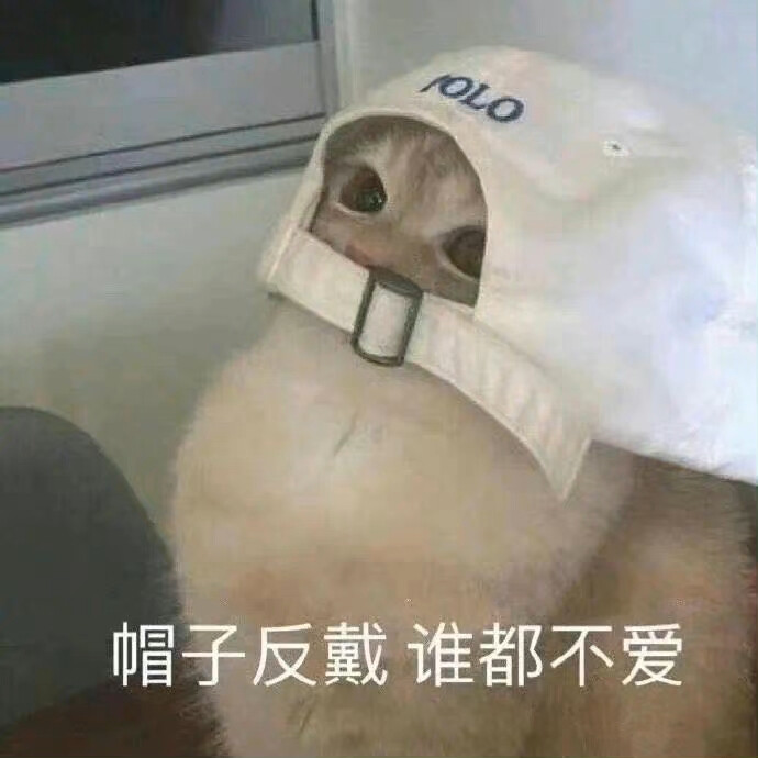 可爱表情包
