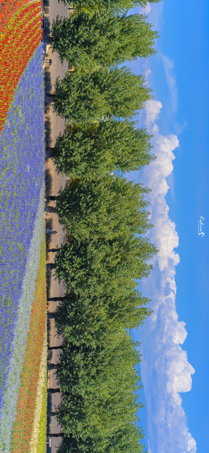 旅游 清新 自然 意境