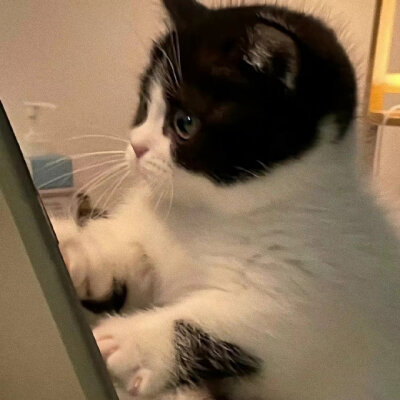 可爱