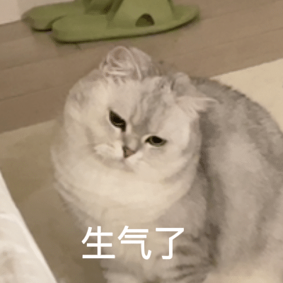 西游记/狗狗/猫猫/小熊维尼/emo/表情包/网易云
