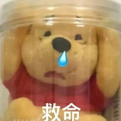 西游记/狗狗/猫猫/小熊维尼/emo/表情包/网易云
