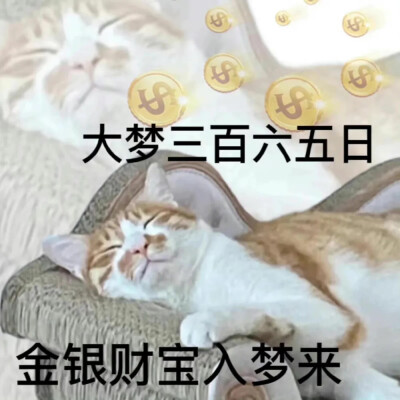 表情包