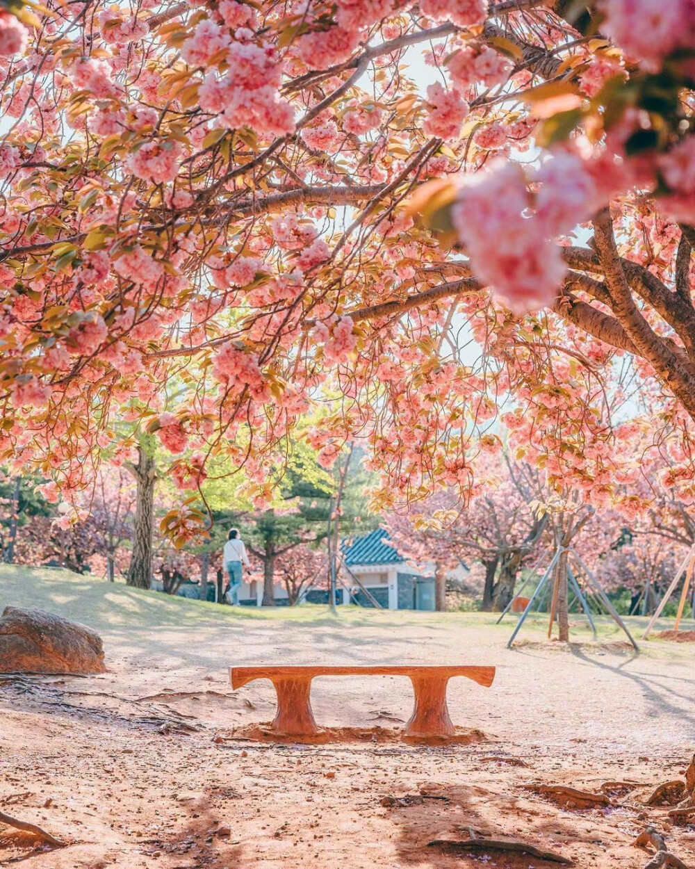 标明春色印桃花